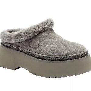 Coach Gray Shearling Platform Clogs size 6 NIB